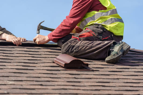 Best Affordable Roof Replacement  in USA